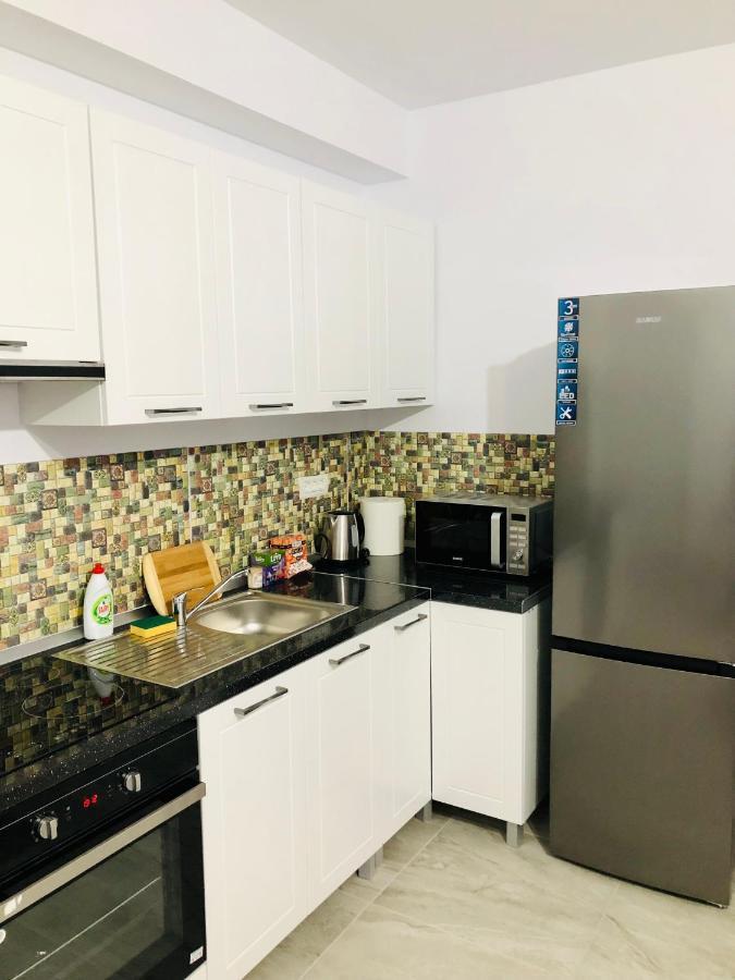 New And Modern Apartments In Villa, Near City Center M36 티미쇼아라 외부 사진